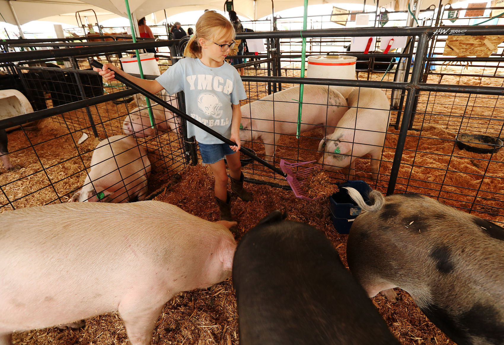 Butte-Silver Bow County Fair continues today